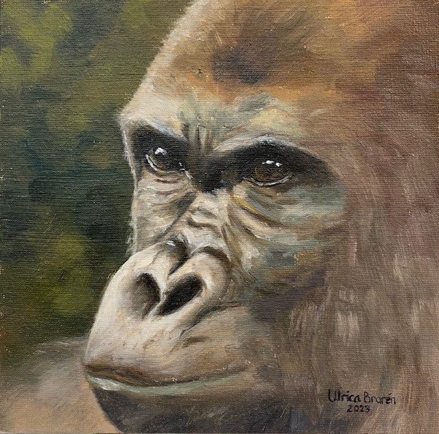 Gorilla
