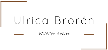 Ulrica Brorén Art