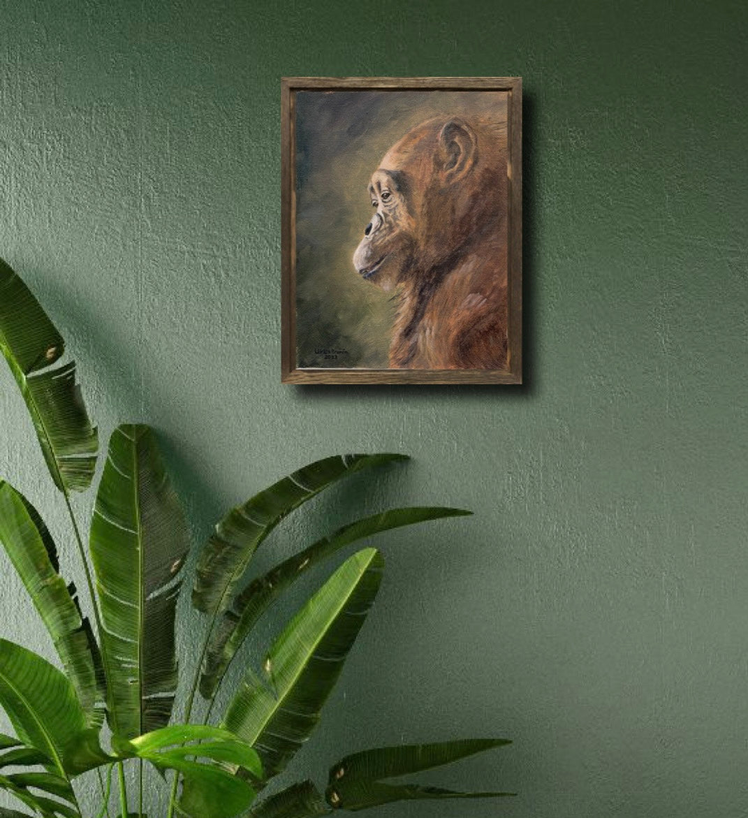 Lone chimpanzee