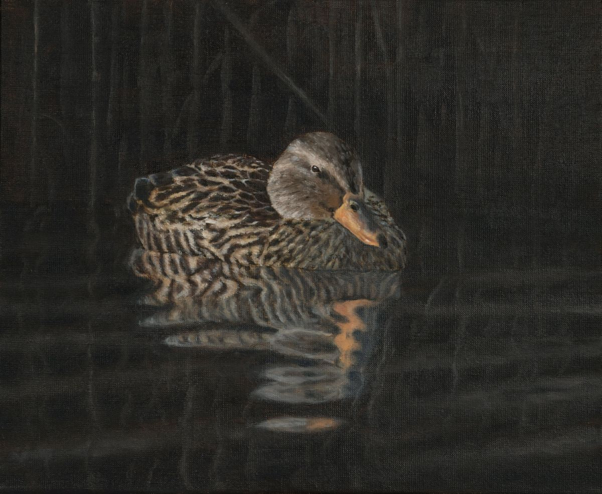 A quiet moment