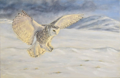 The Flying Snow Ghost - Oljemålning av fjälluggla i nordisk fjällmiljö