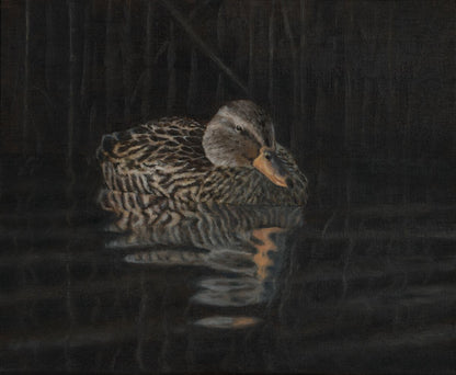 Mallard