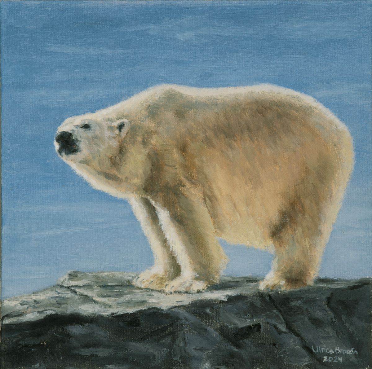 Polar bear