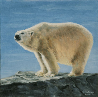 Polar bear